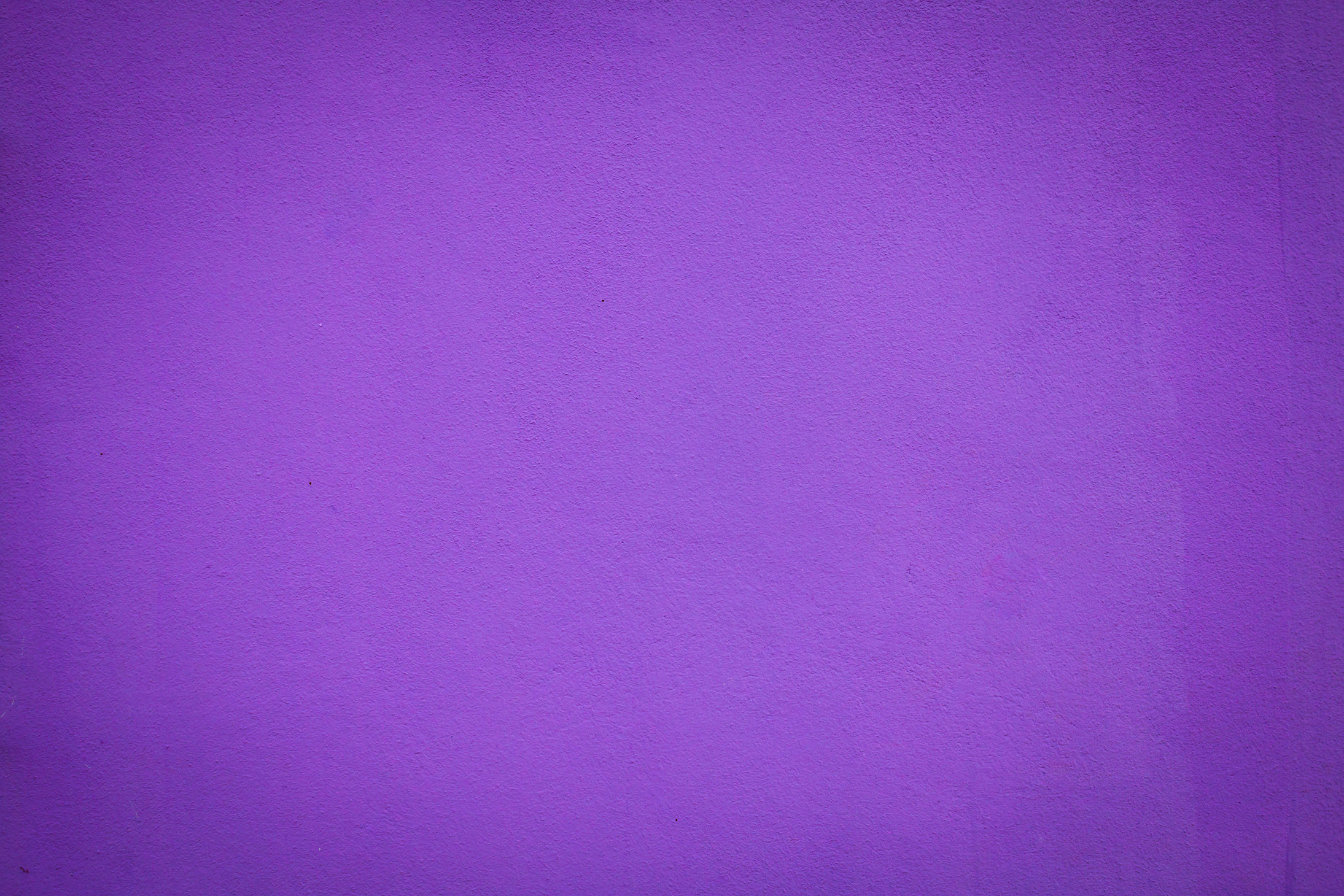 Purple concrete wall background.